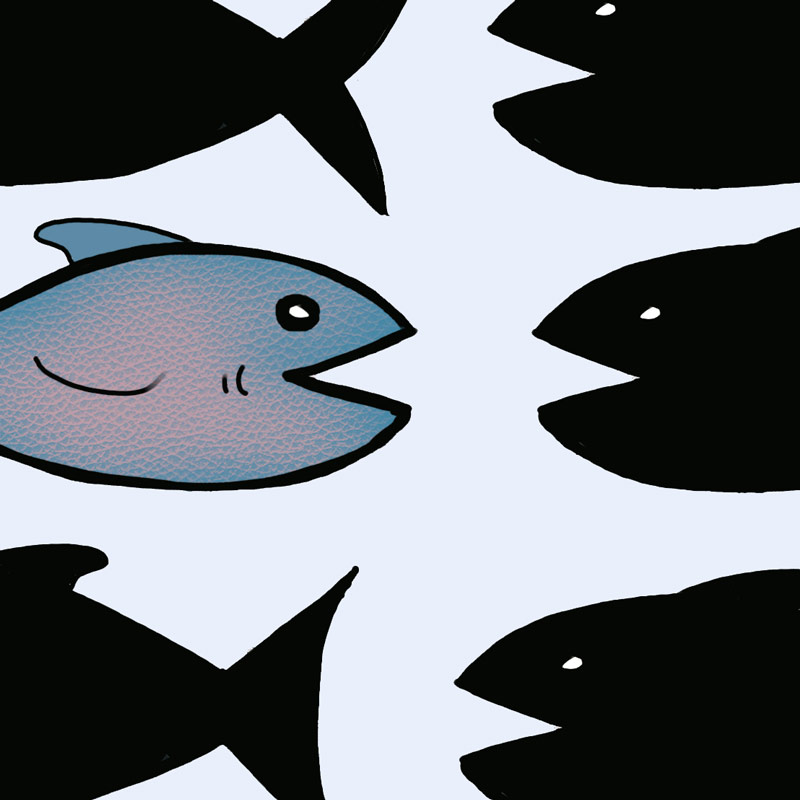 Rätsel: Ein Fisch – viele Schatten